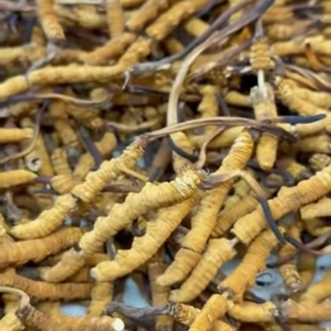 粤A娜姐山货甄选