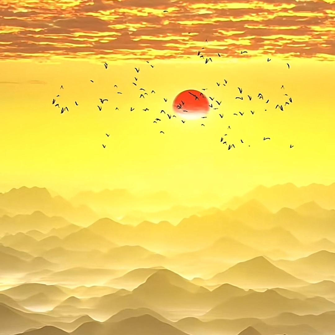 遂宁美鞋港湾（余余有鱼）