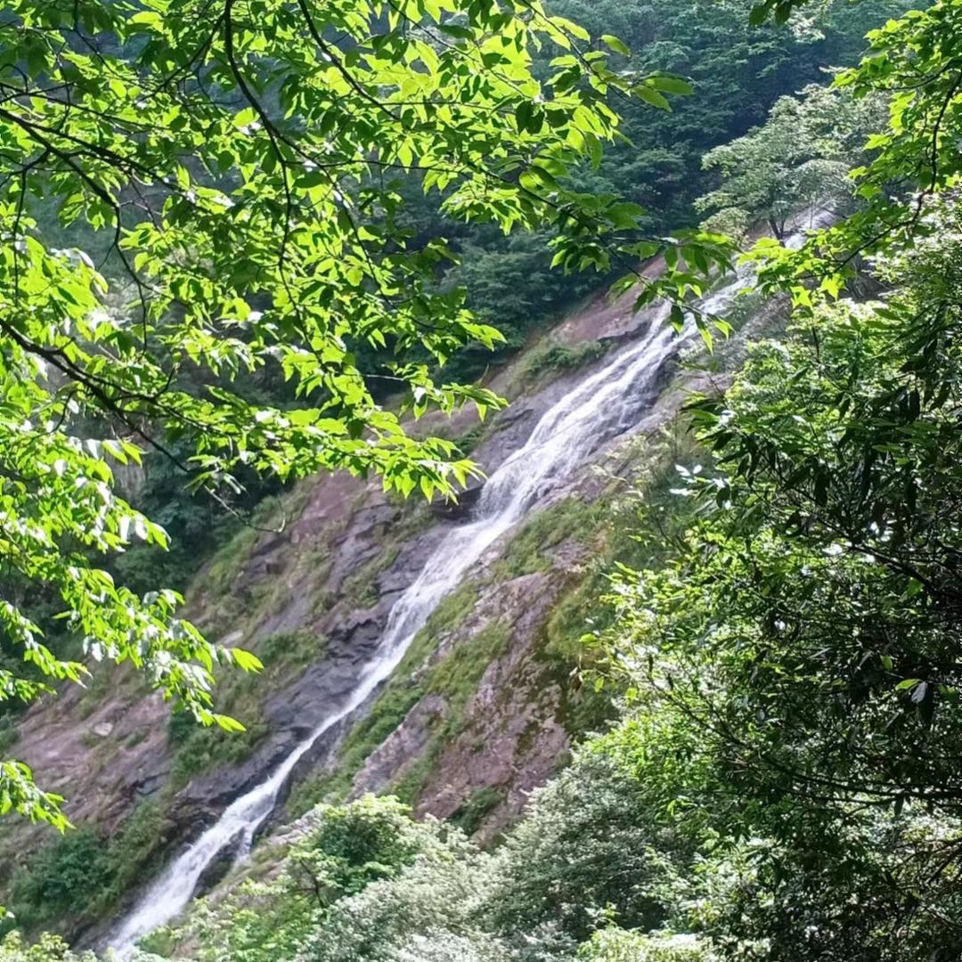夏日情风