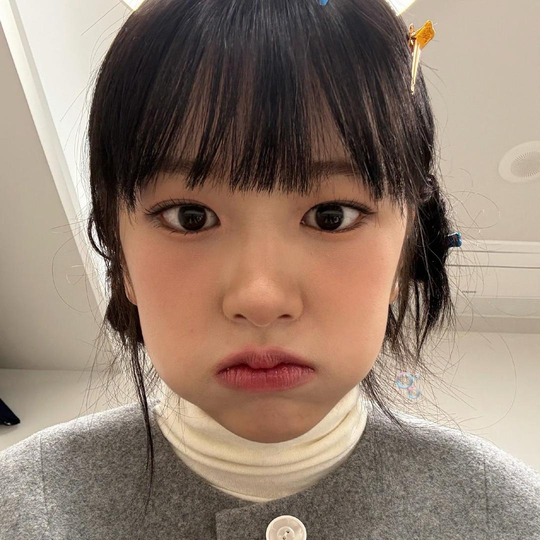 摩尔猪