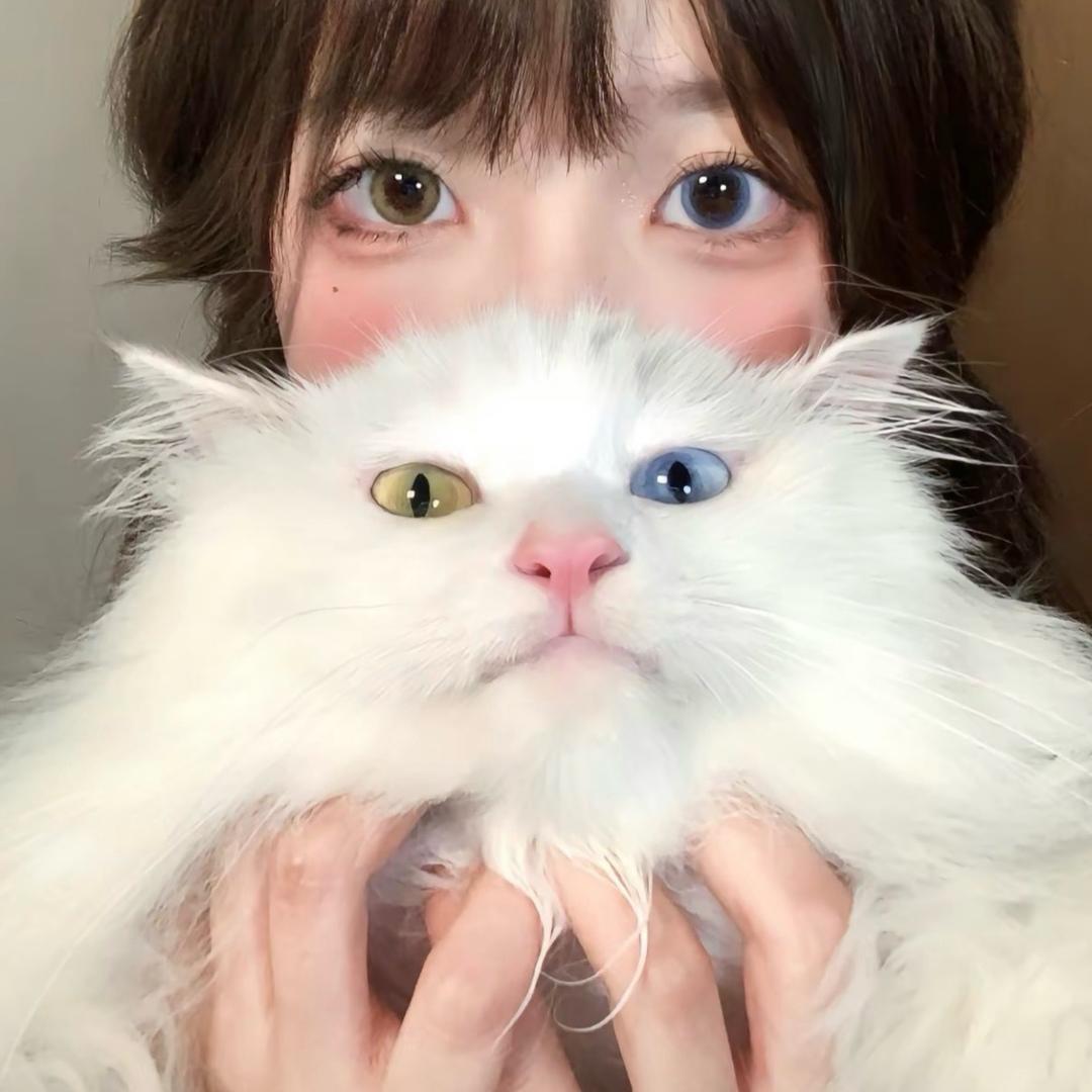 又又我就这样