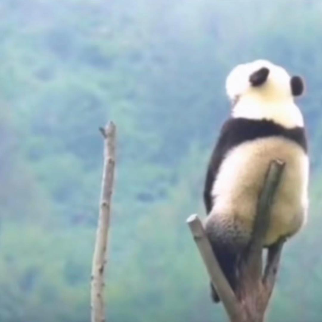 少来烦我