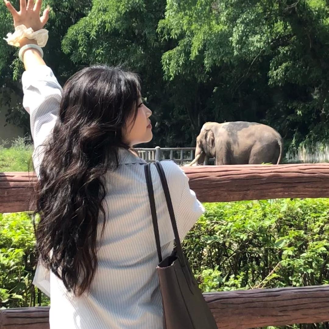 藤井树🌱