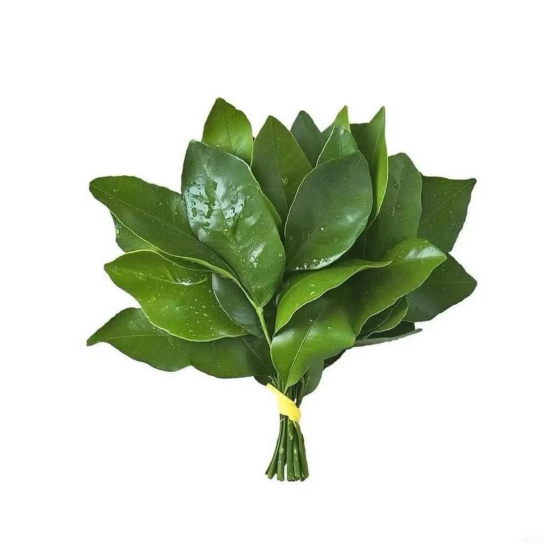 忧伤的汉堡.