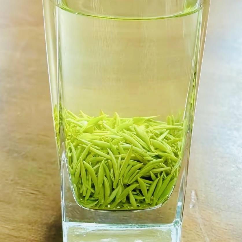 叶县昆阳镇龙潭茶庄