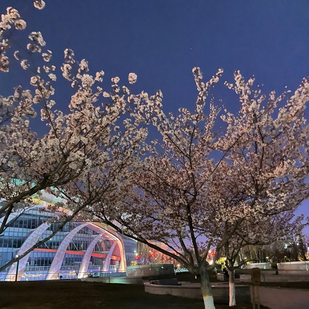 来给生活比个✌️叶叶
