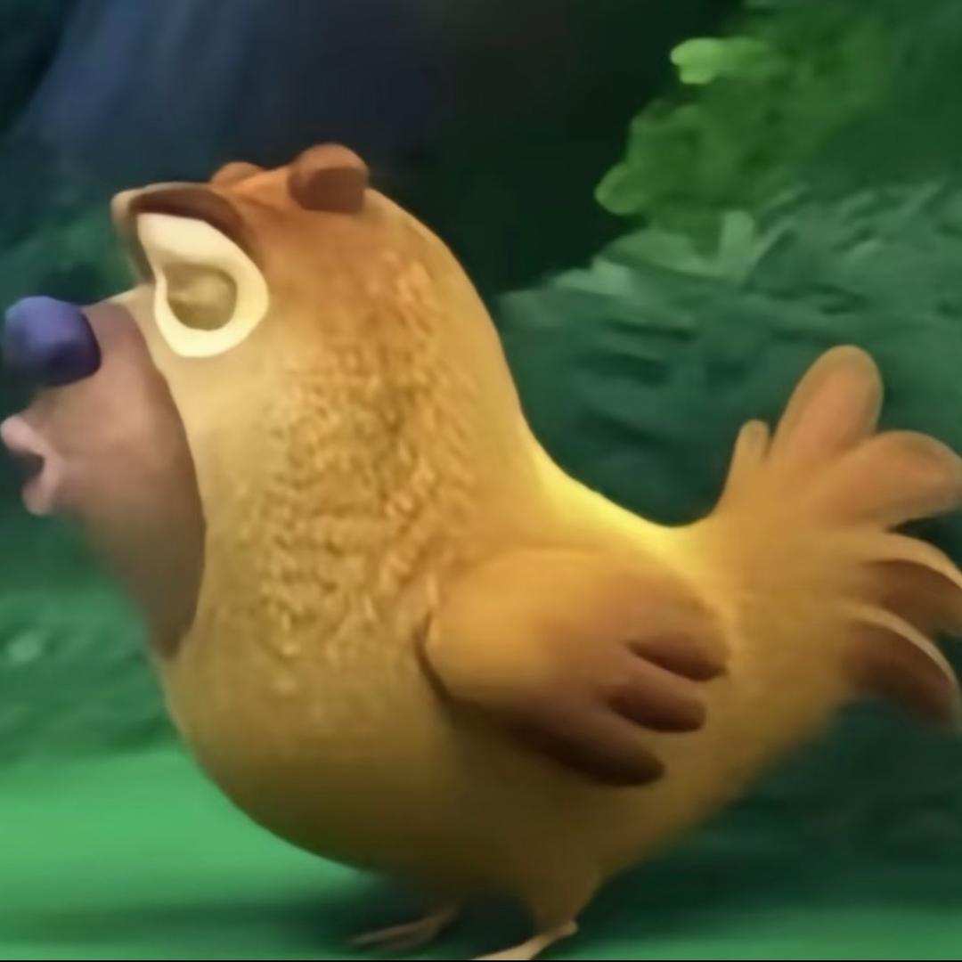 003