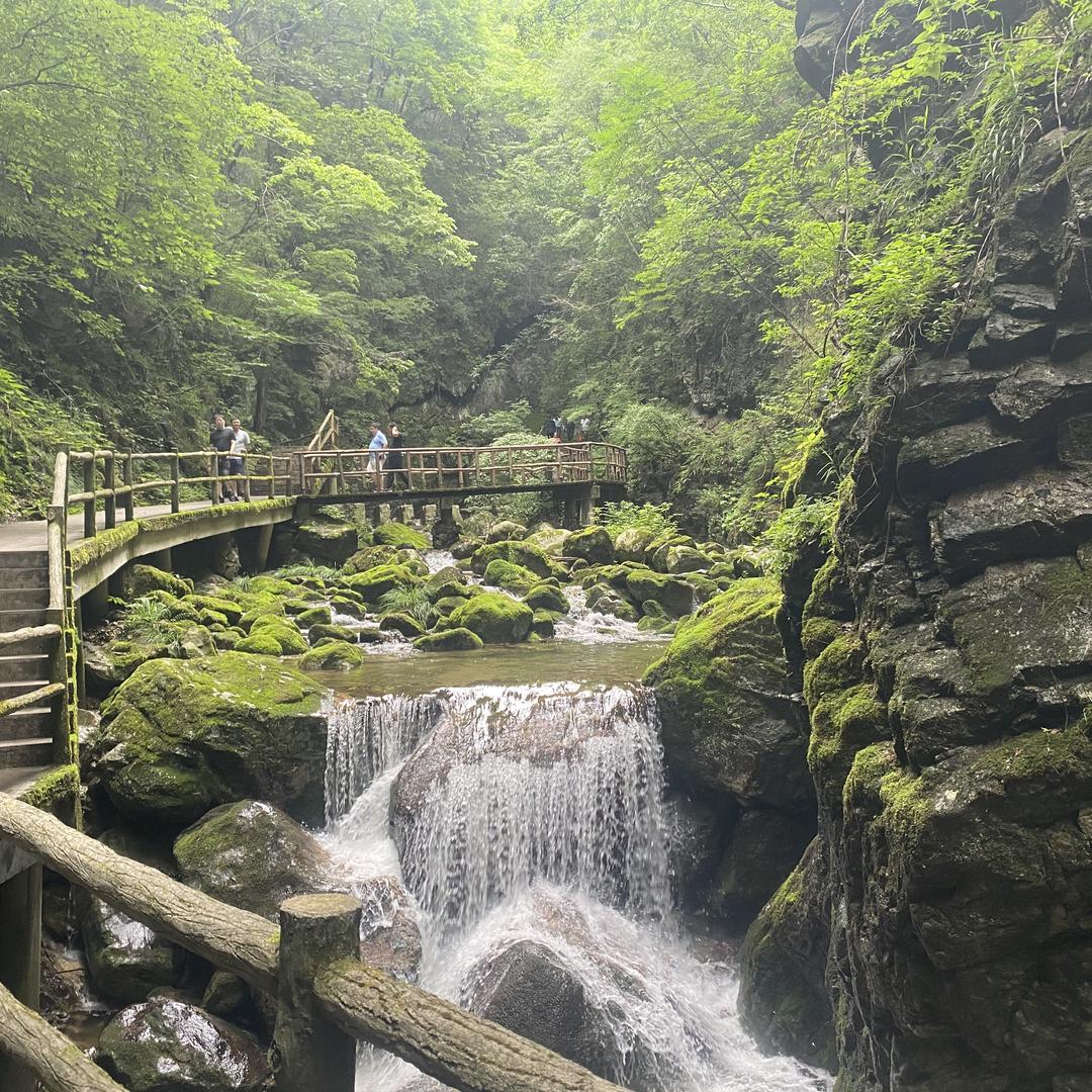 泰酷橙子