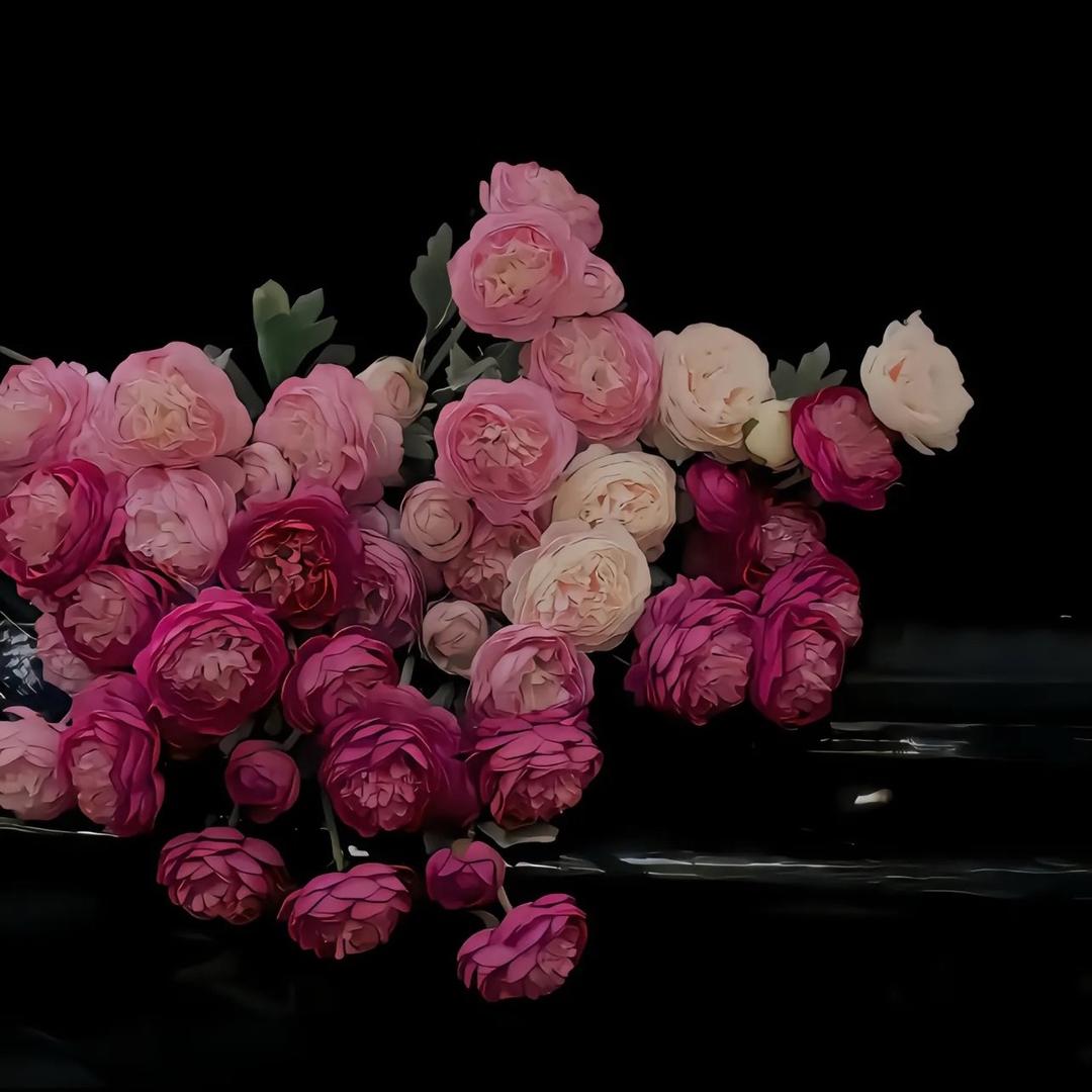 小王ʚʕ̯•͡˔•̯᷅ʔɞ