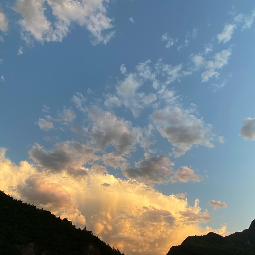 可惜