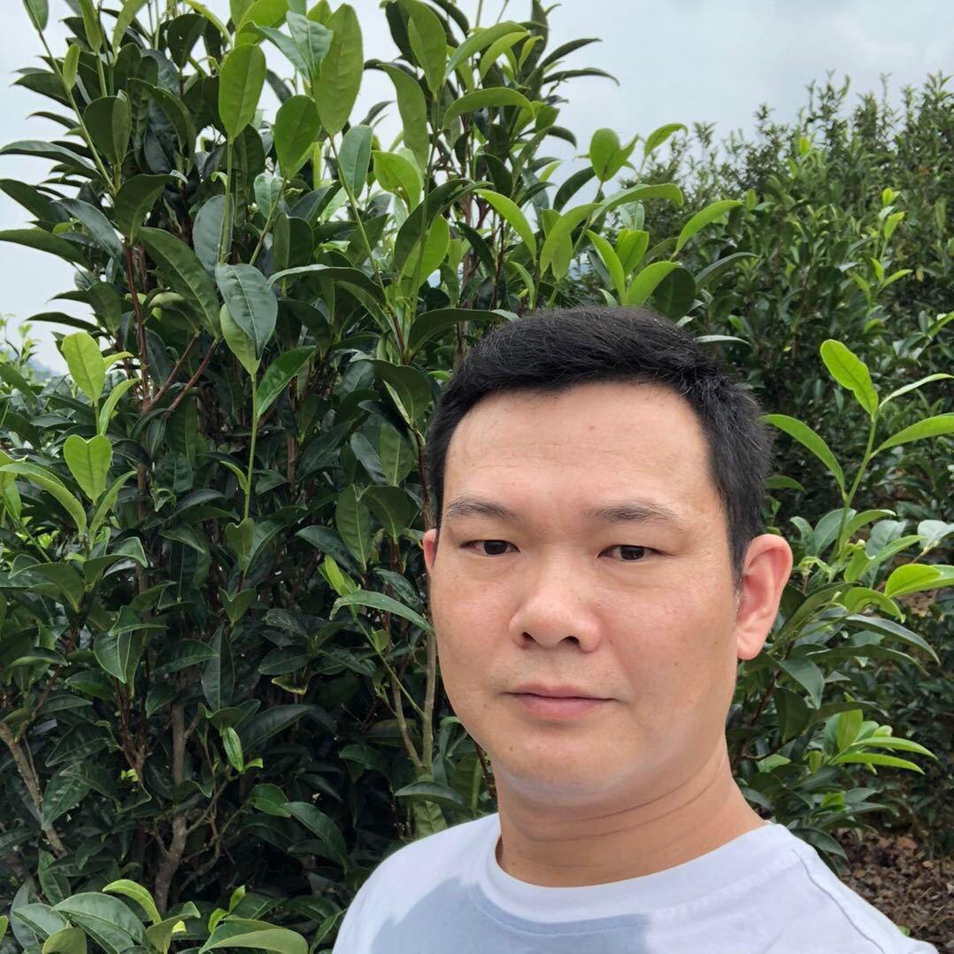 大猫 茶业批发供应配送中心