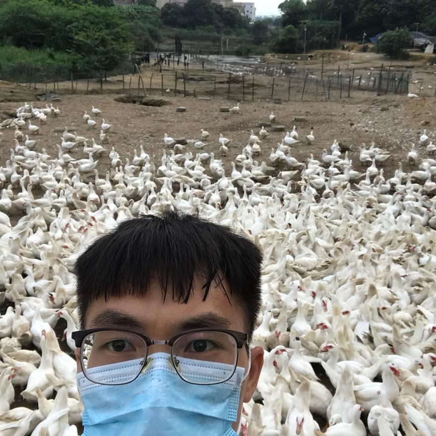 金生