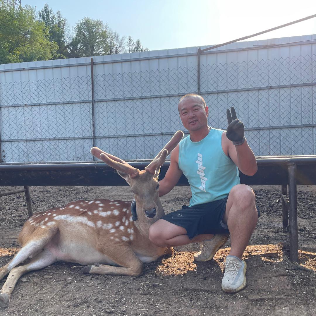 福禄堂参茸滋补专营店