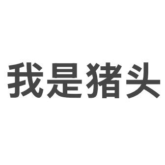 我是猪头