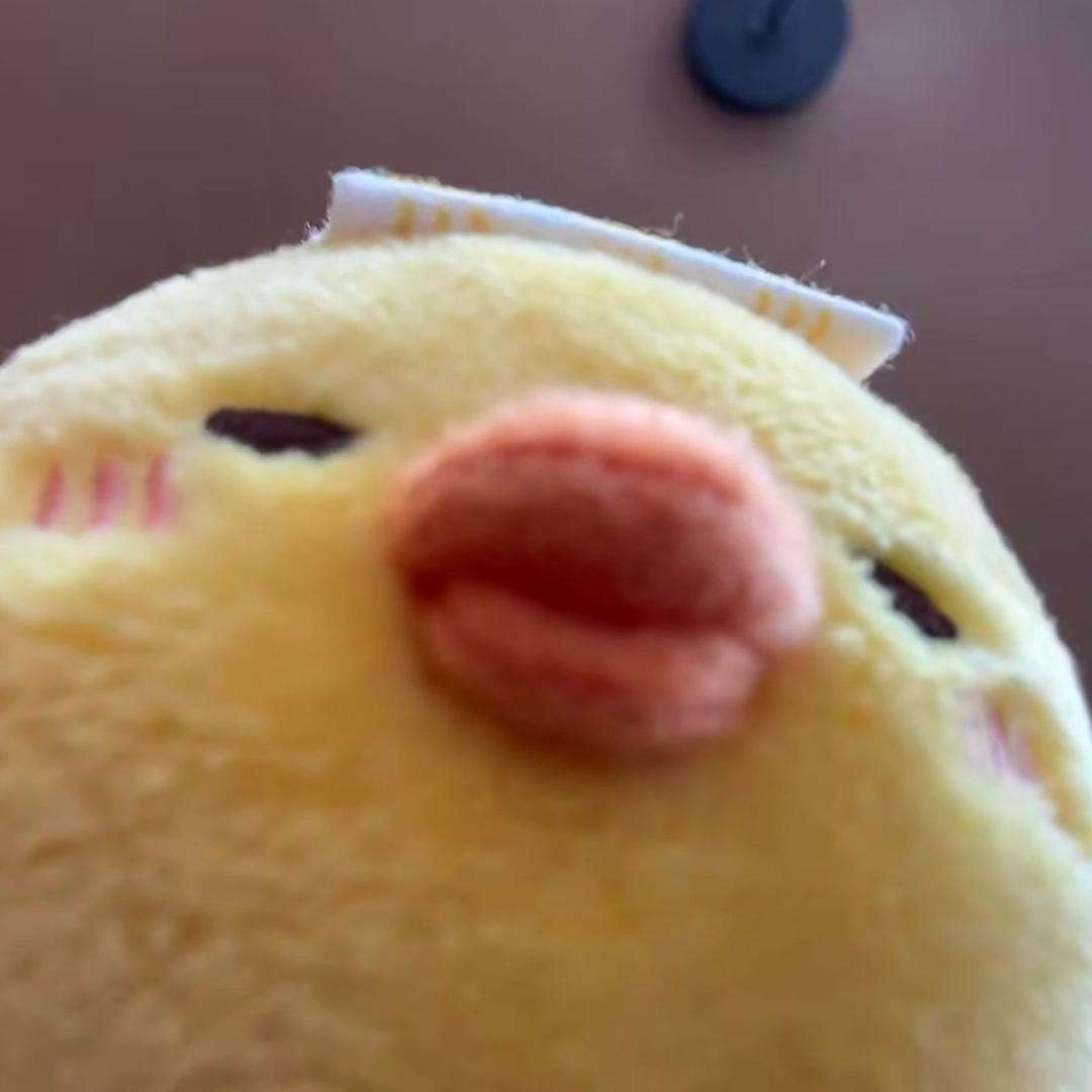 小涵神