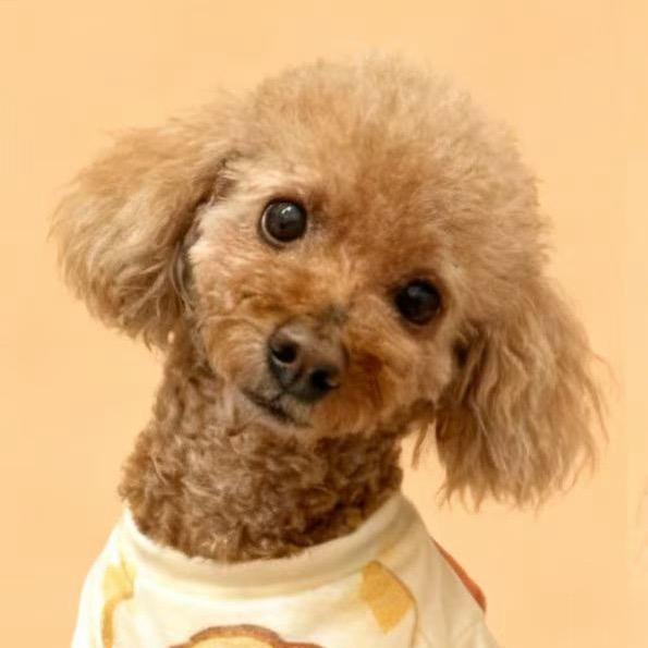 ✿ۣ   思小思 ཻ .🎈