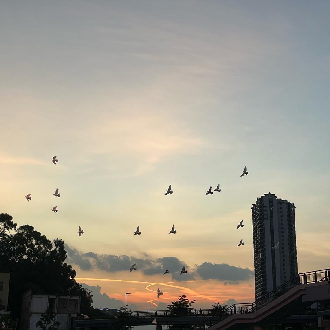 ✨八毛钱的益力多✨