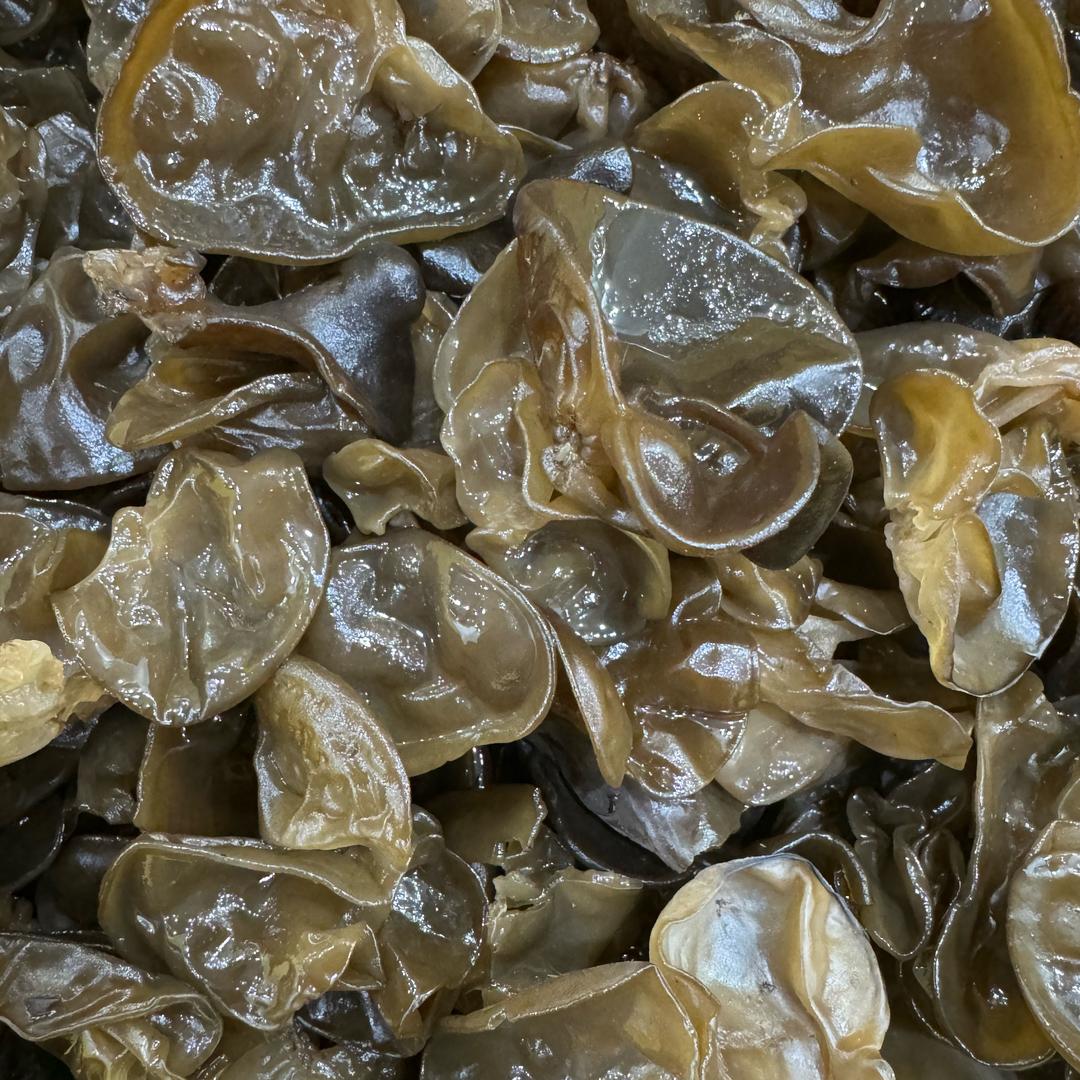 大东北原产地牡丹江木耳