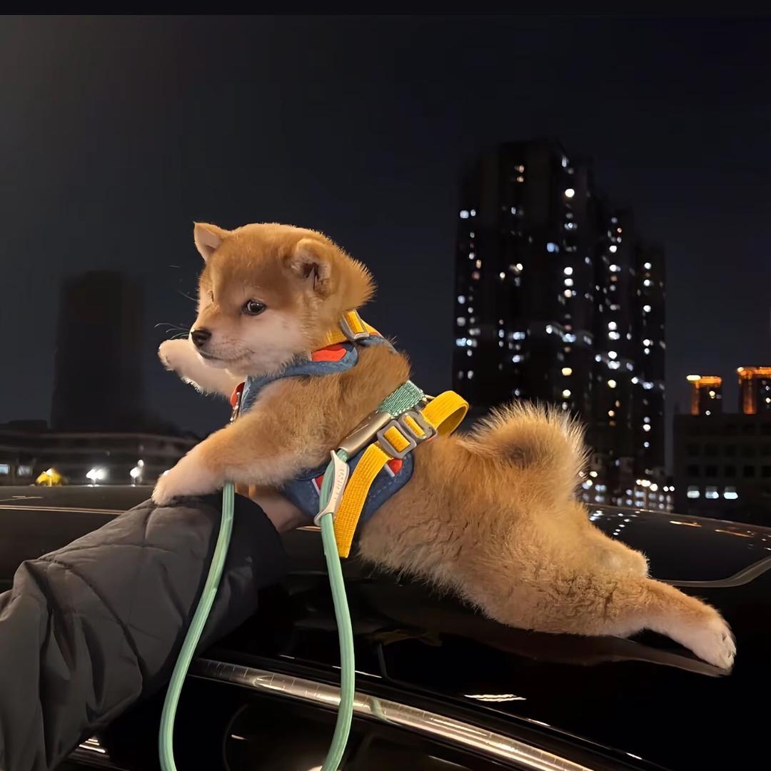 多喝开水