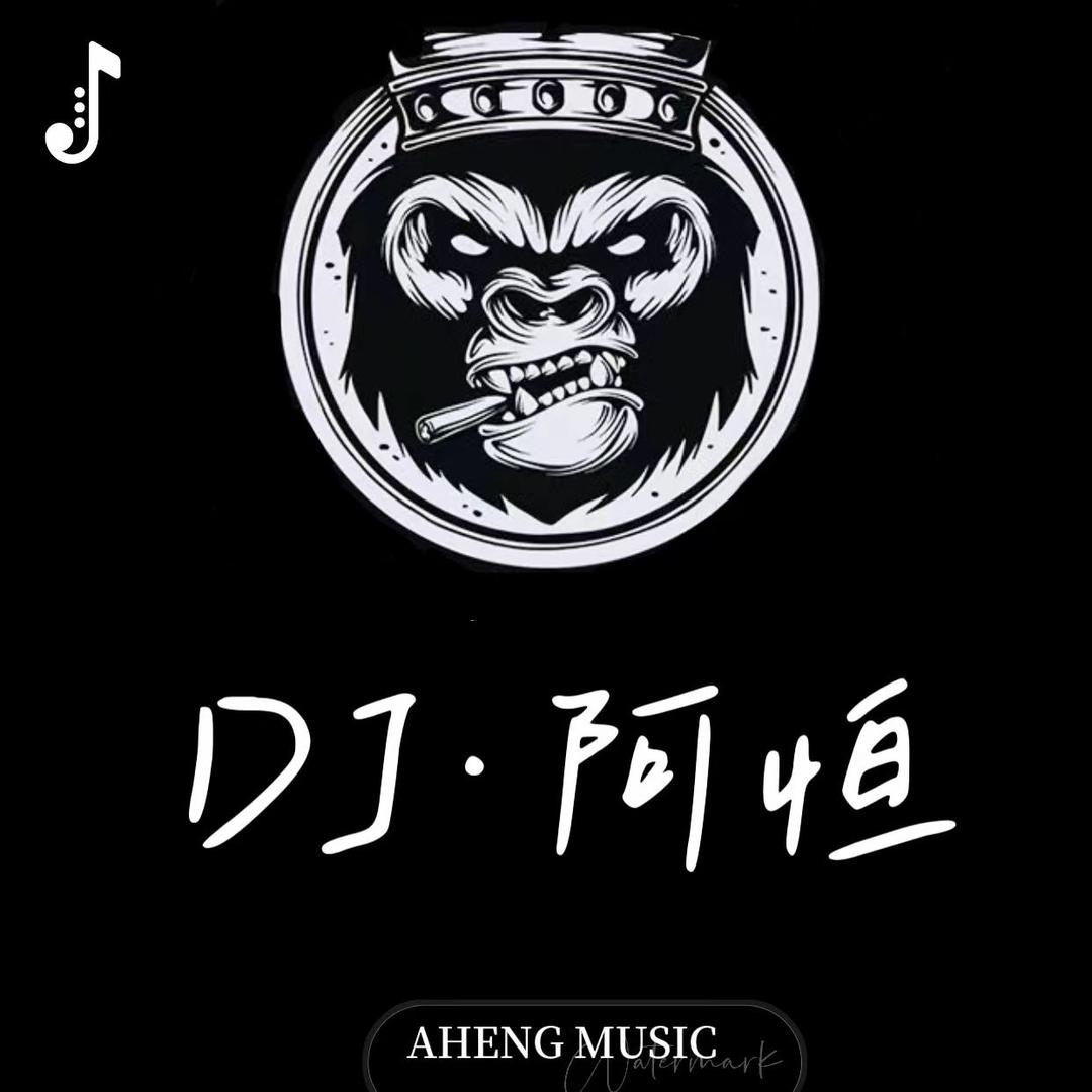 dj阿恒 （车载优盘）