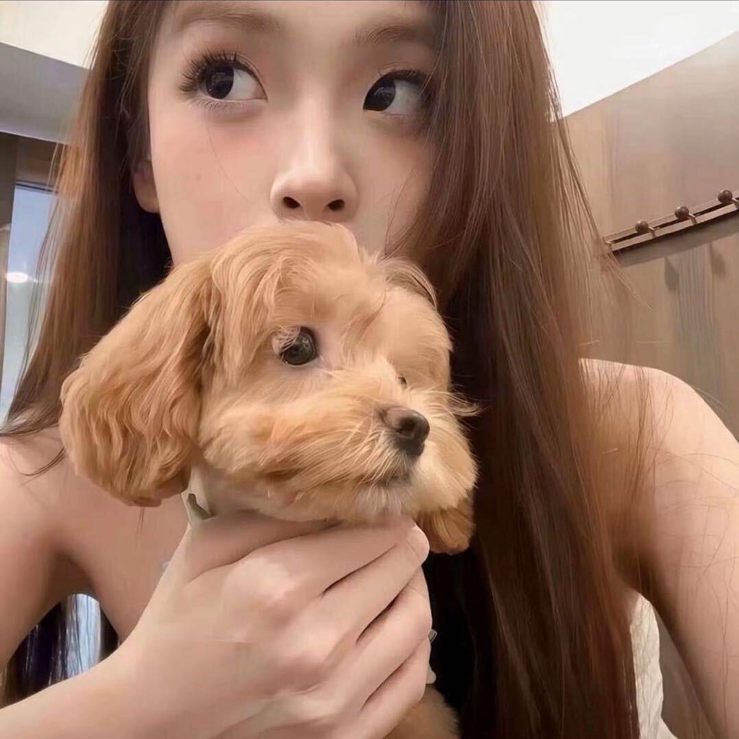 半个有趣的人