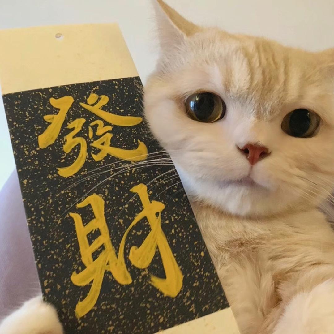 佳佳-好物分享