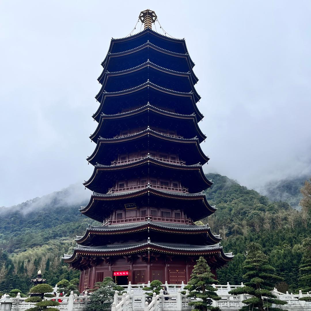 木子李-李@抖音