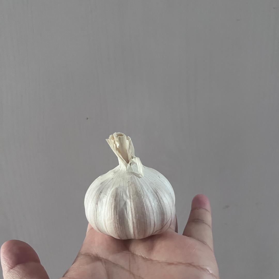 圆圆妹「冲1000」