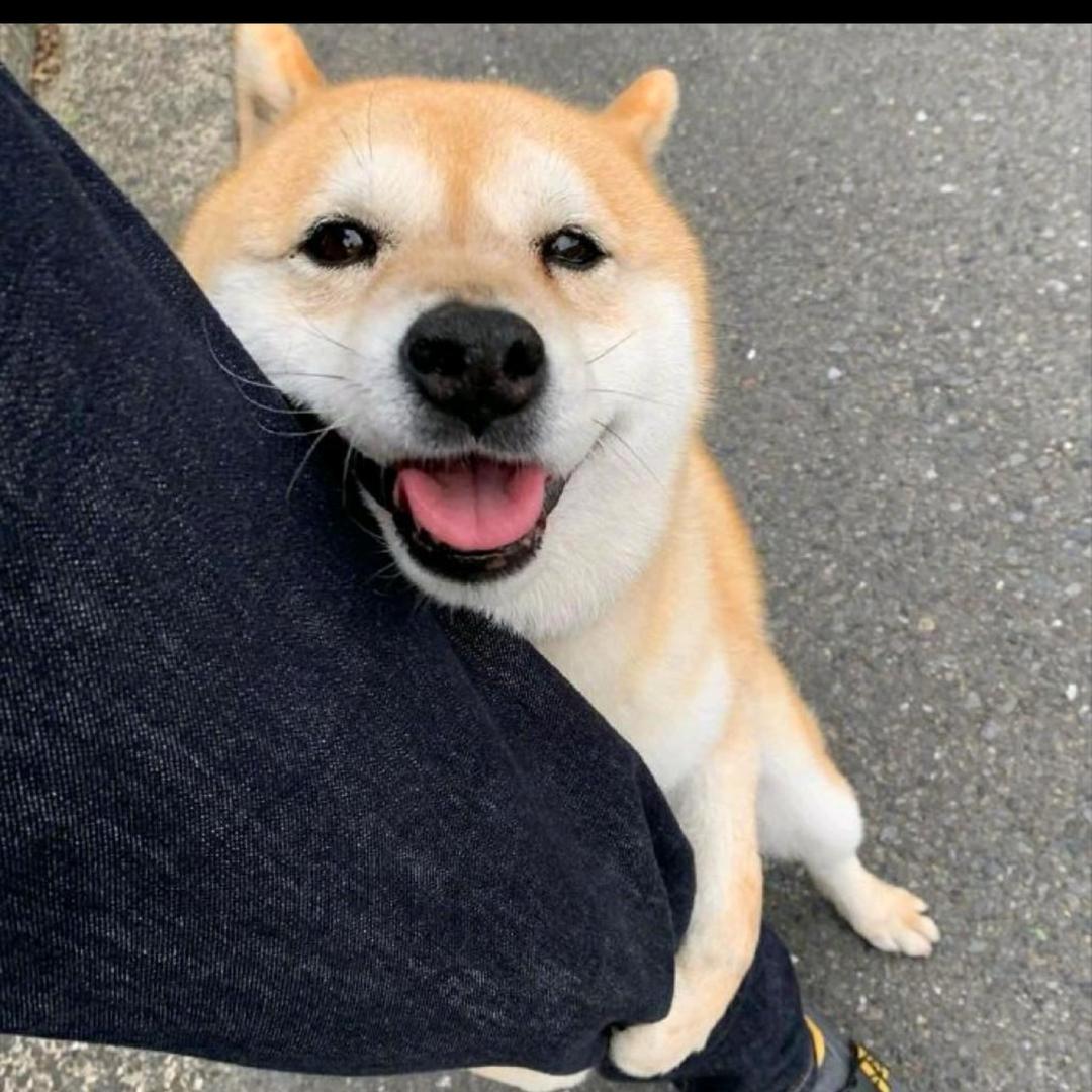 夏天～