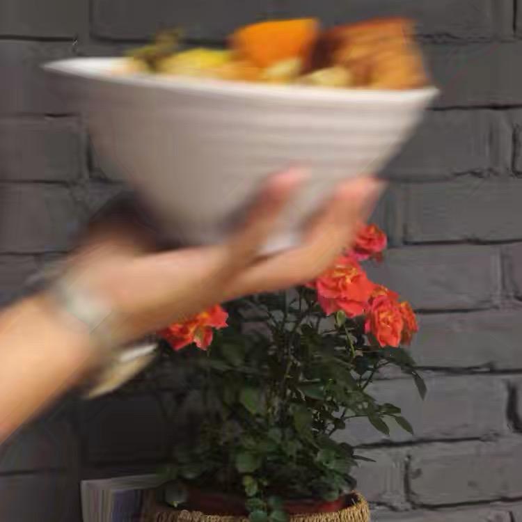 不务正业的托尼