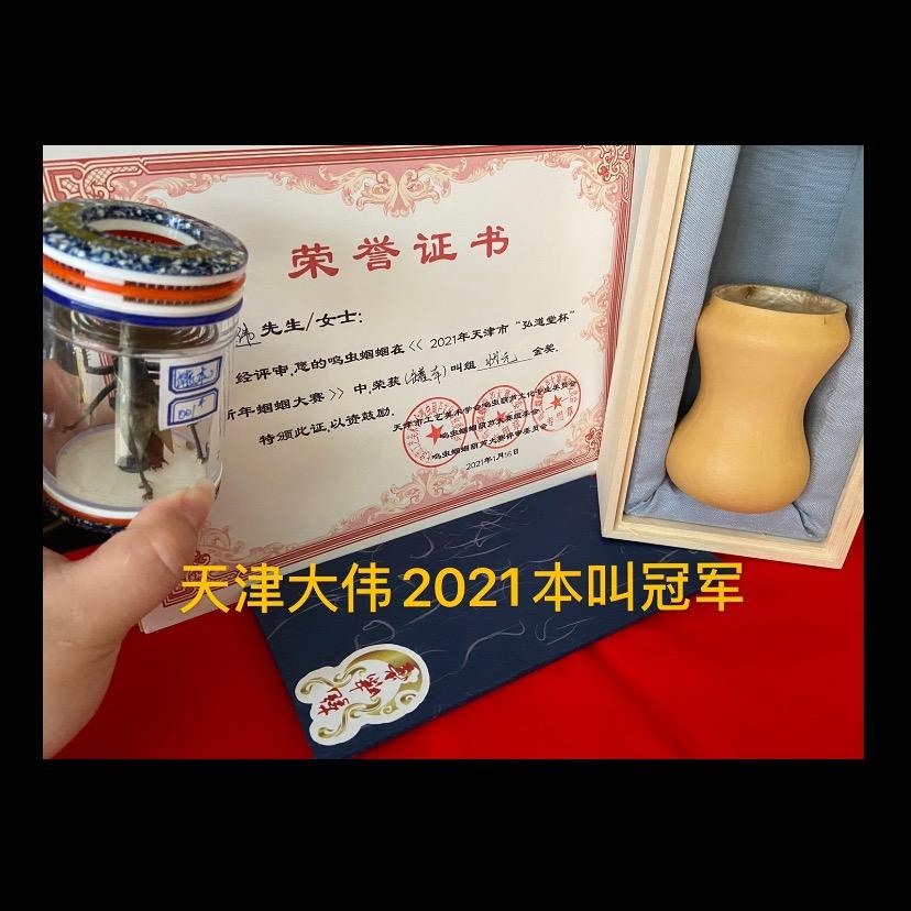 天津大伟（全鸣星）