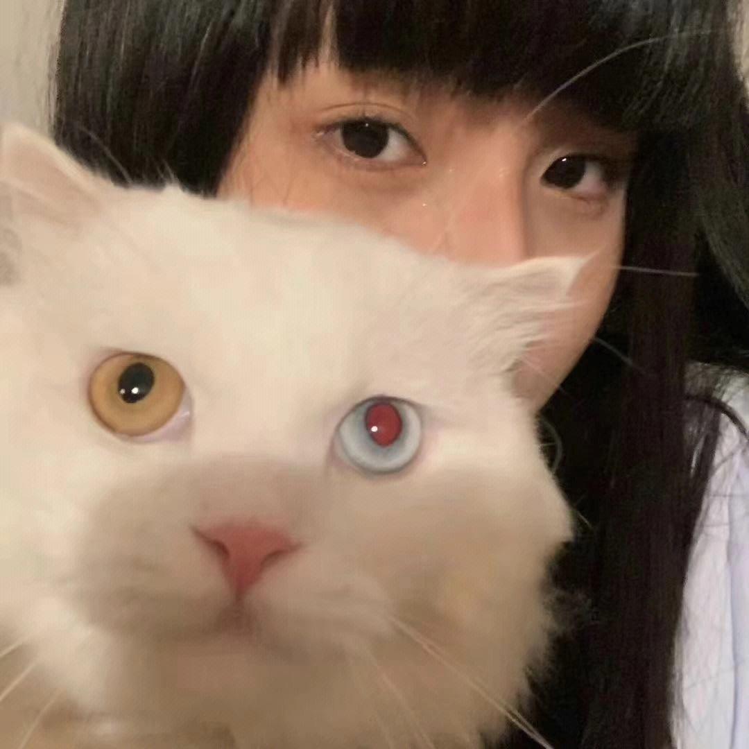 梨儿
