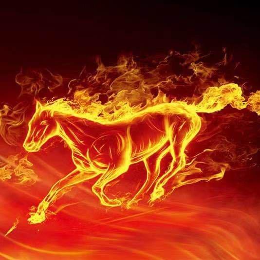 马大帅☯️七叔