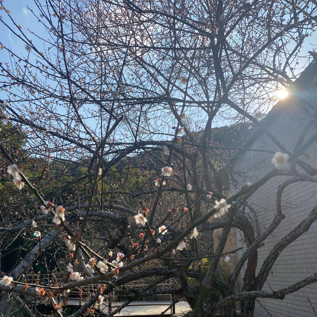 💋四个妞的妈💃💃