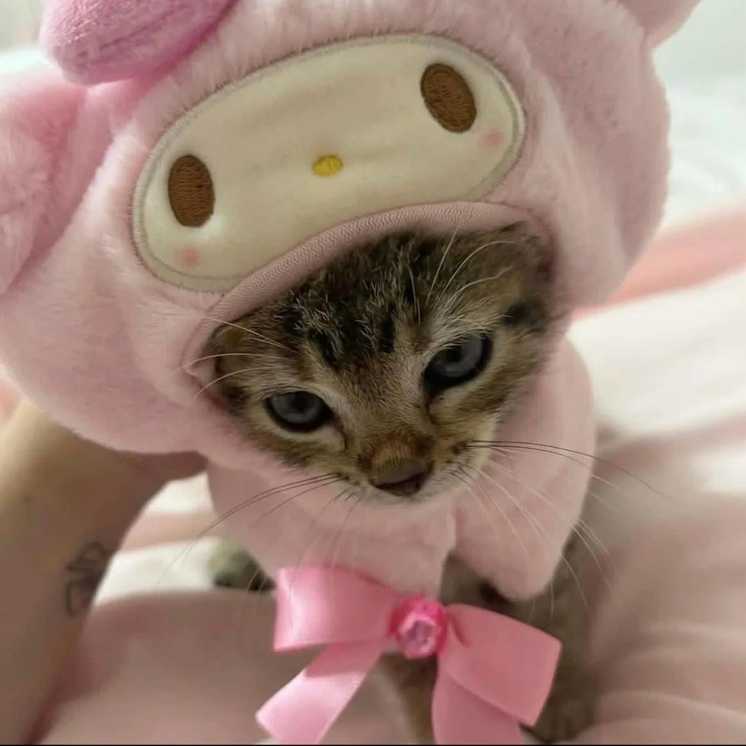 鹦鹉牙