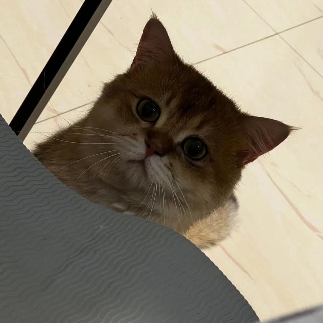 YE.