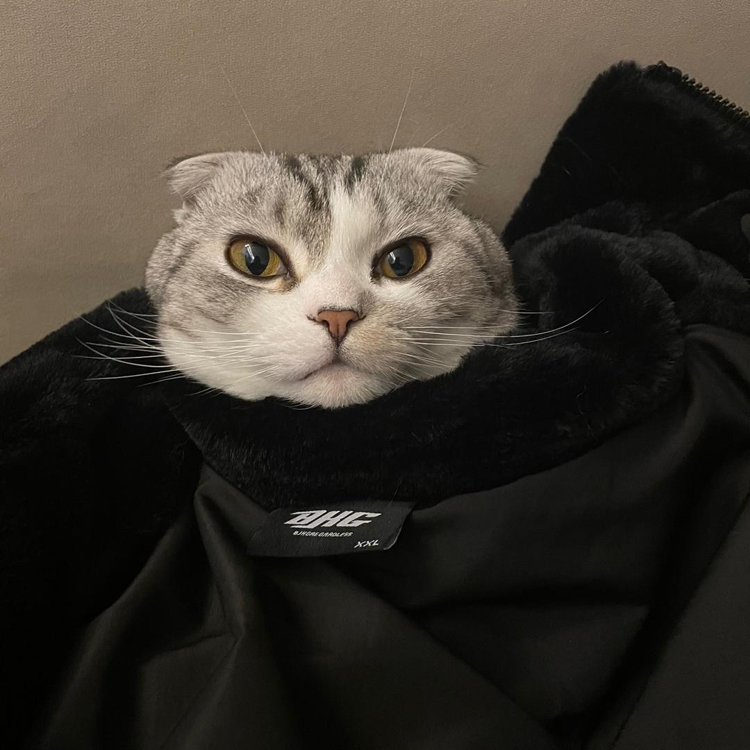 东东电竞明星仔仔（三角洲行动）