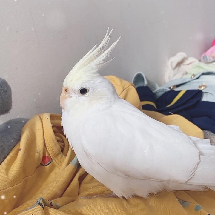 >.<张恩华