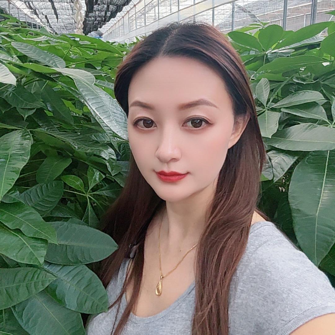 惠儿绿植发财树