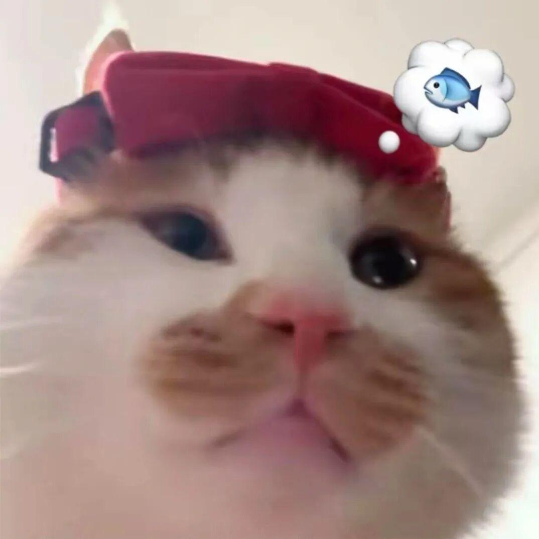 嬩ル