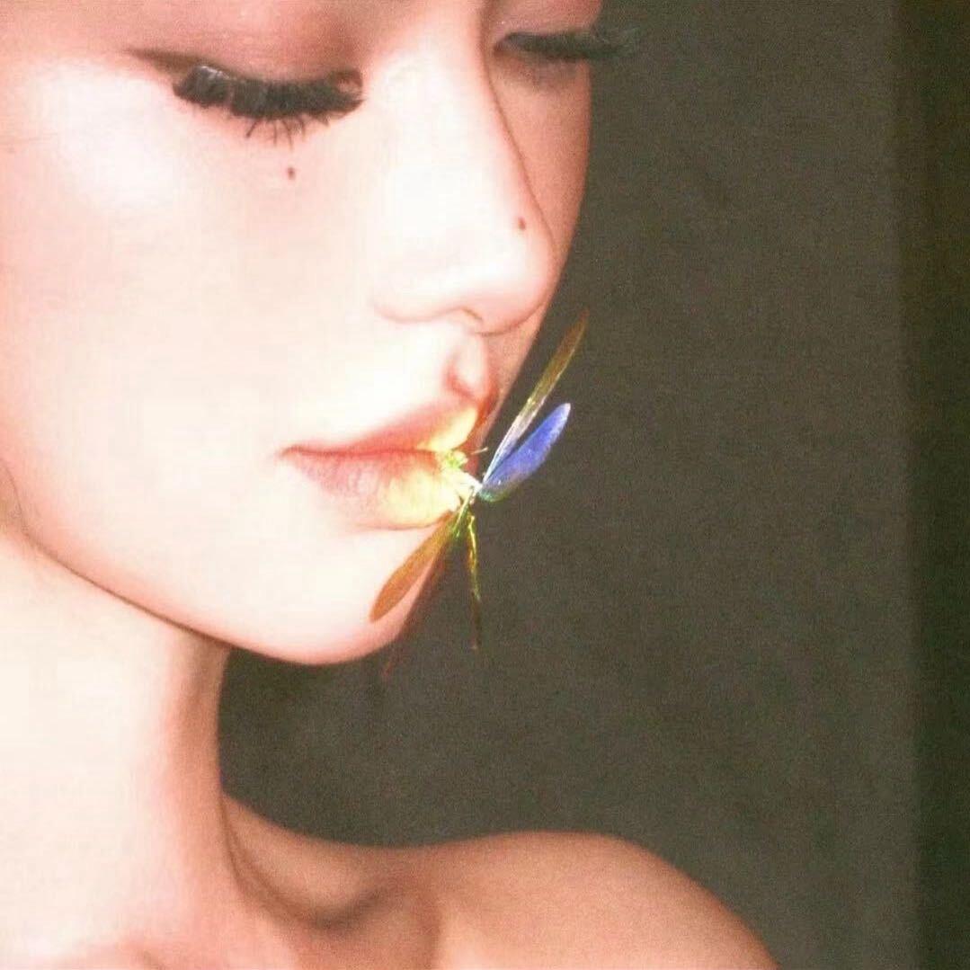 ¹ .甄Kxin