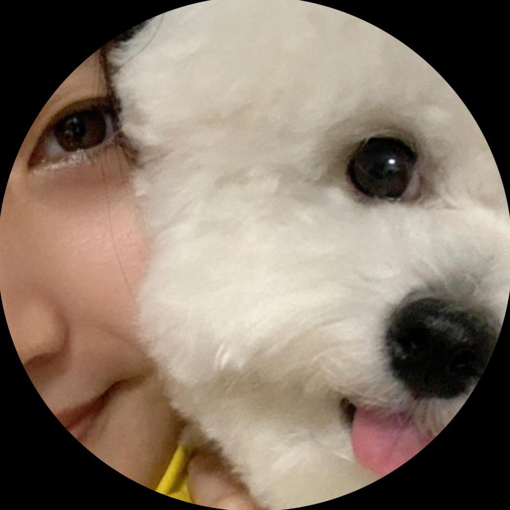一只泡泡熊