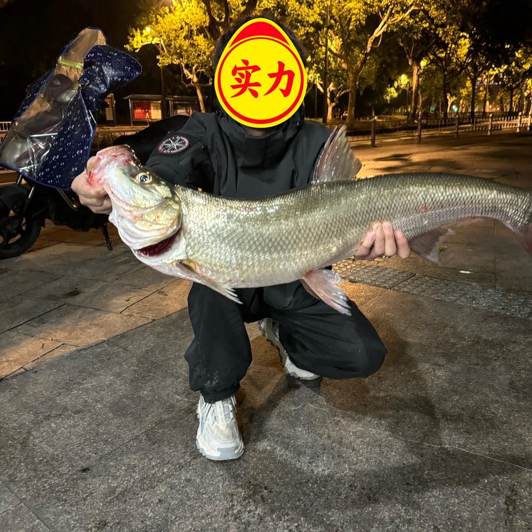 @路亚鹏