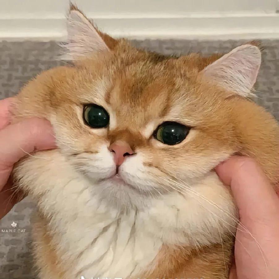 王刚6️⃣🦐