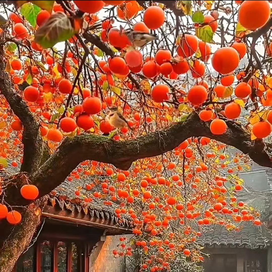 嘻嘻，哈哈