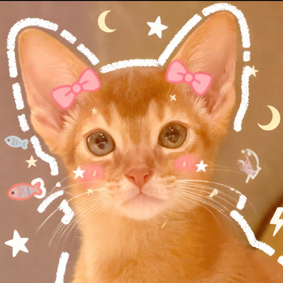 想看九锥合体.🍒（雷朋见过我）