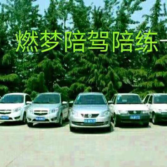 燃梦汽车陪驾陪练