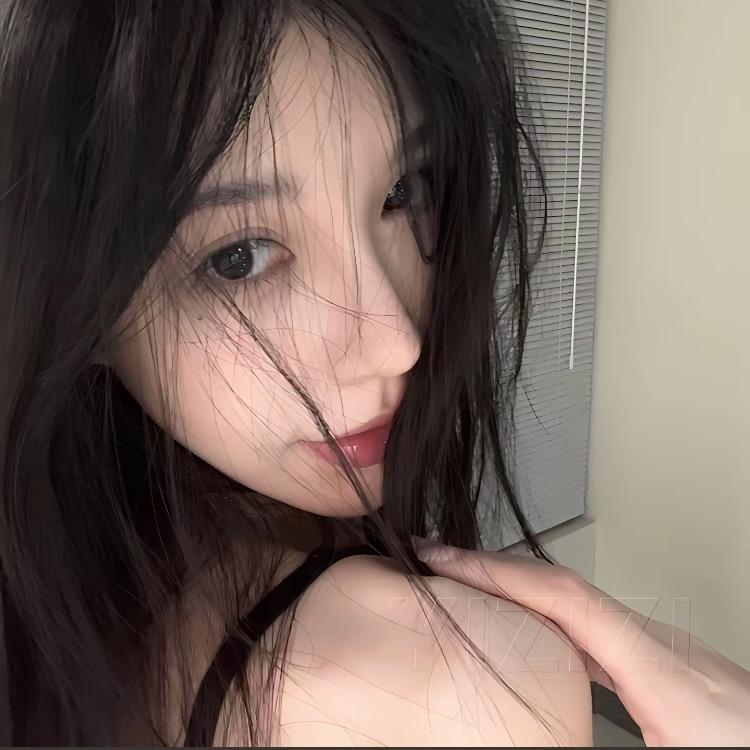 河南苟飞