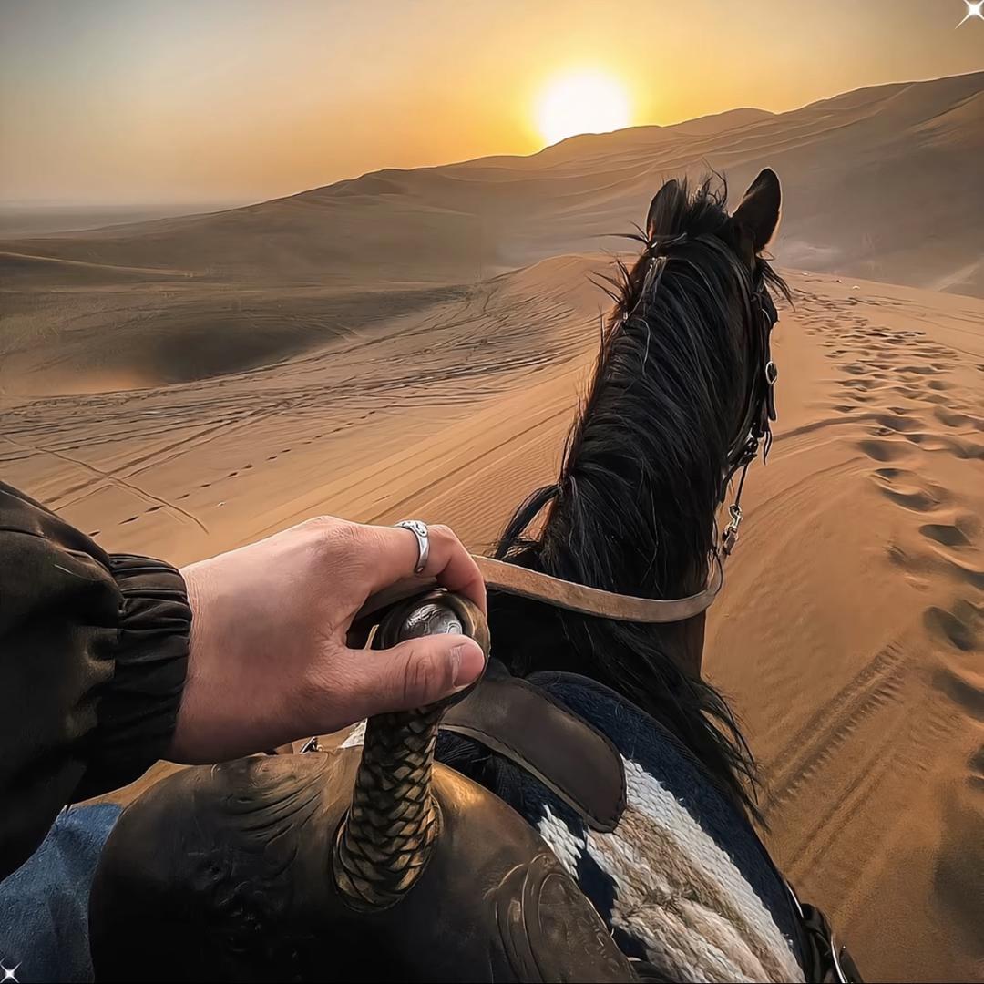 马鞍山接发398全头包量（24小时营业）