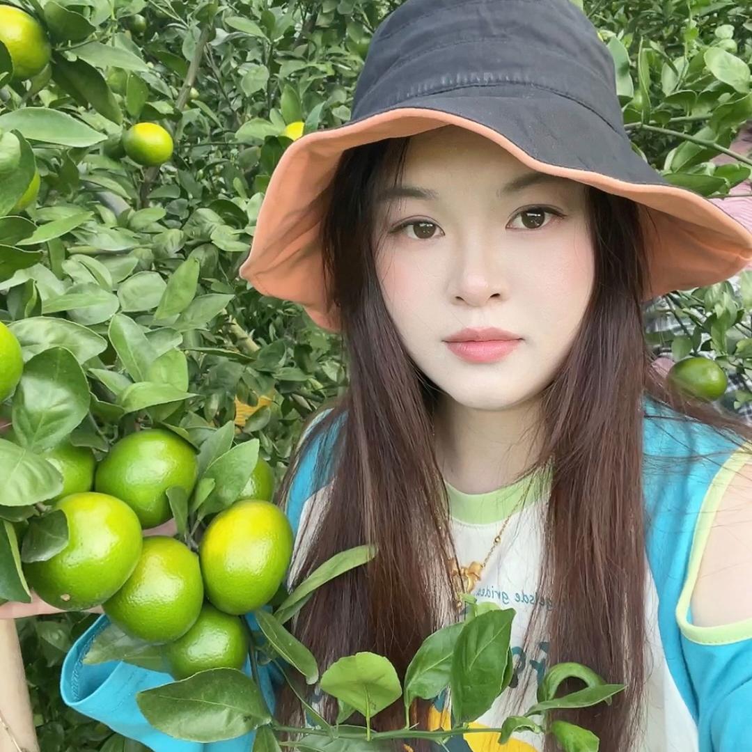 德庆贡柑